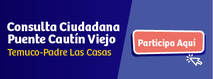 Consulta Ciudadana Puente Cautín Viejo Temuco-Padre Las Casas