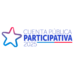 Informe Cuenta Publica SERVIU Gestión 2024