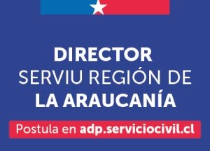 Concurso Director SERVIU Región De La Araucanía