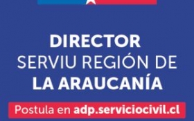 Concurso Director SERVIU Región de La Araucanía