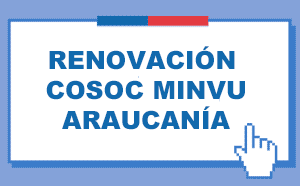 RENOVACIÓN COSOC MINVU ARAUCANÍA